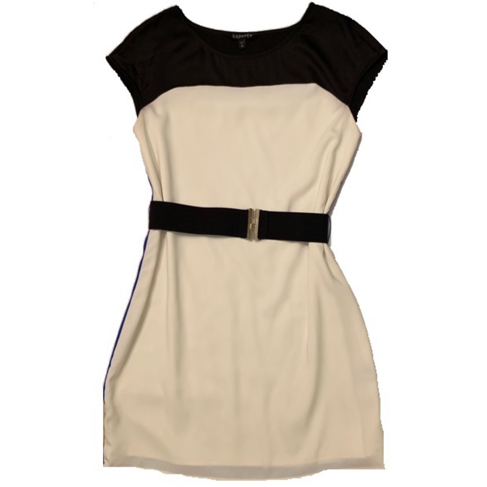Express sleeveless shift dress color block  XS